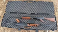 Double gun case (Hard)